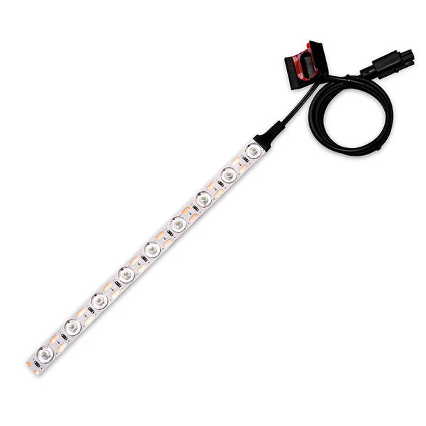 BIQU Panda Lux LED