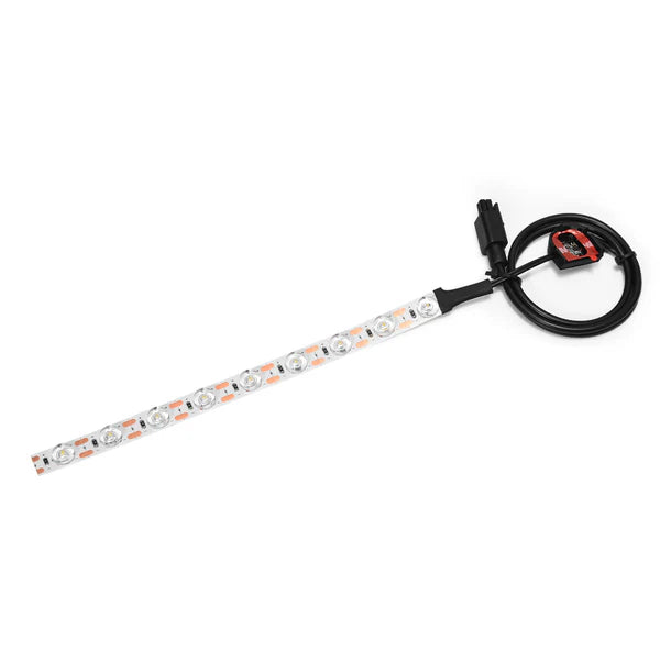 BIQU Panda Lux LED